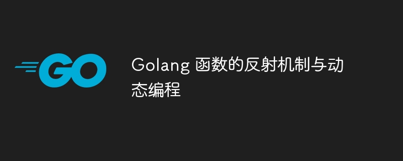 Golang 函数的反射机制与动态编程