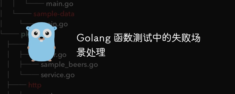 Golang 函数测试中的失败场景处理