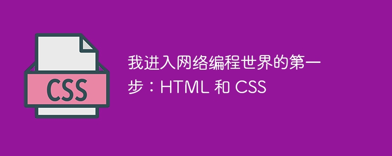 我进入网络编程世界的第一步：HTML 和 CSS