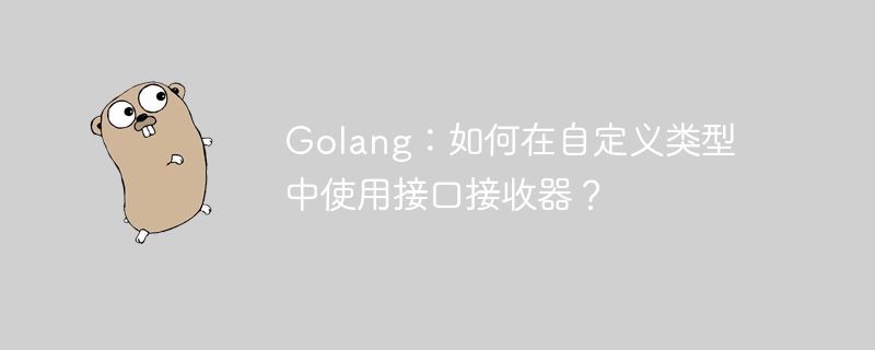 Golang：如何在自定义类型中使用接口接收器？