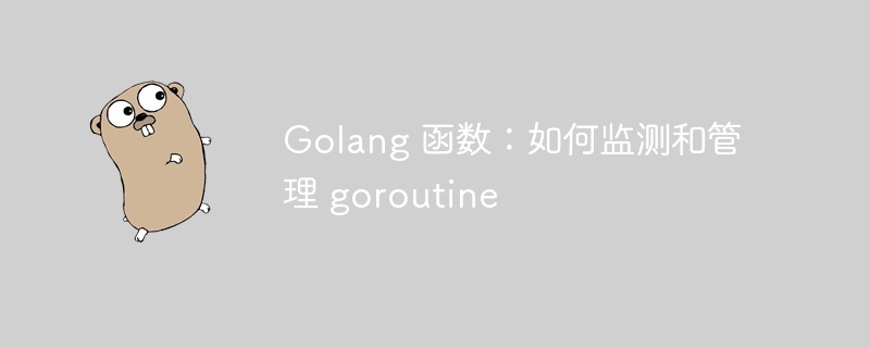 Golang 函数：如何监测和管理 goroutine