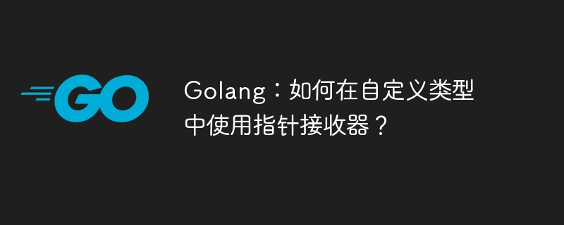 Golang：如何在自定义类型中使用指针接收器？