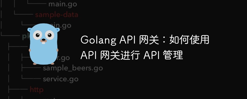 Golang API 网关：如何使用 API 网关进行 API 管理