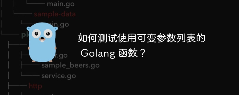 如何测试使用可变参数列表的 Golang 函数？