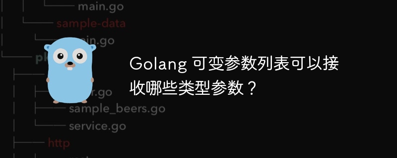 Golang 可变参数列表可以接收哪些类型参数？