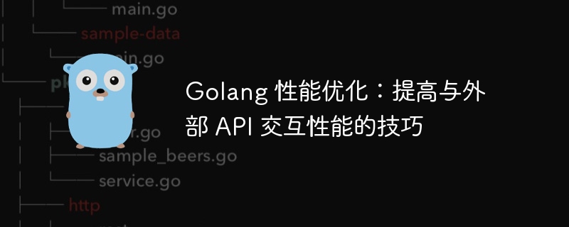 Golang 性能优化：提高与外部 API 交互性能的技巧