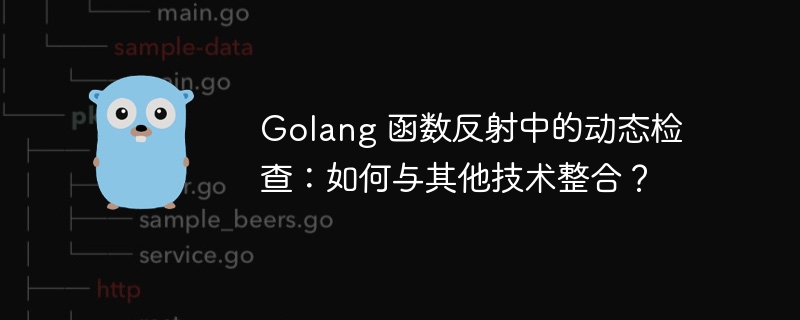 Golang 函数反射中的动态检查：如何与其他技术整合？