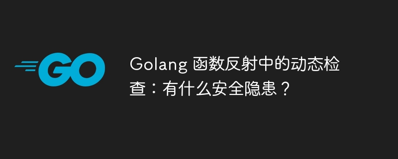 Golang 函数反射中的动态检查：有什么安全隐患？