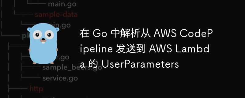 在 Go 中解析从 AWS CodePipeline 发送到 AWS Lambda 的 UserParameters