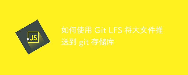 如何使用 Git LFS 将大文件推送到 git 存储库