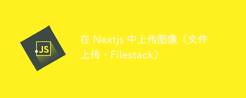 在 Nextjs 中上传图像（文件上传、Filestack）