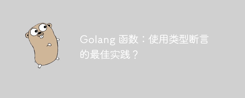 Golang 函数：使用类型断言的最佳实践？