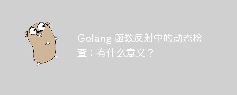 Golang 函数反射中的动态检查：有什么意义？