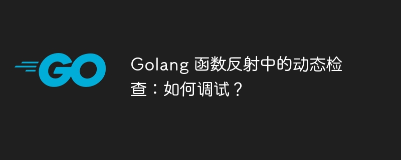 Golang 函数反射中的动态检查：如何调试？