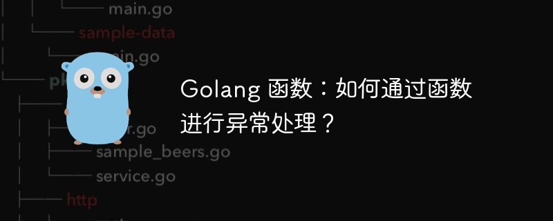 Golang 函数：如何通过函数进行异常处理？