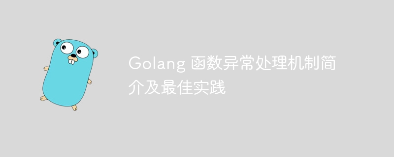 Golang 函数异常处理机制简介及最佳实践