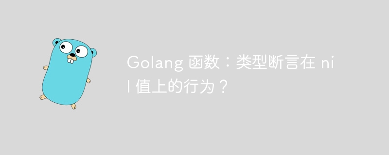 Golang 函数：类型断言在 nil 值上的行为？