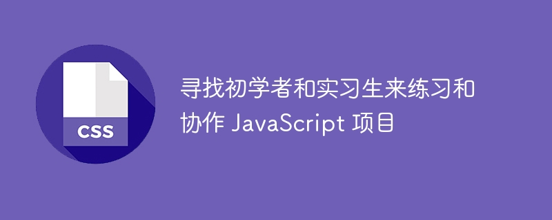 寻找初学者和实习生来练习和协作 JavaScript 项目