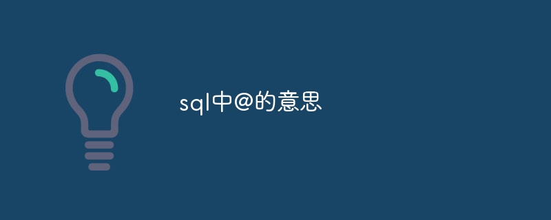 sql中@的意思