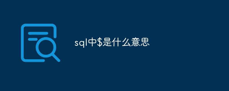 sql中$是什么意思