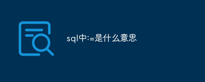 sql中:=是什么意思