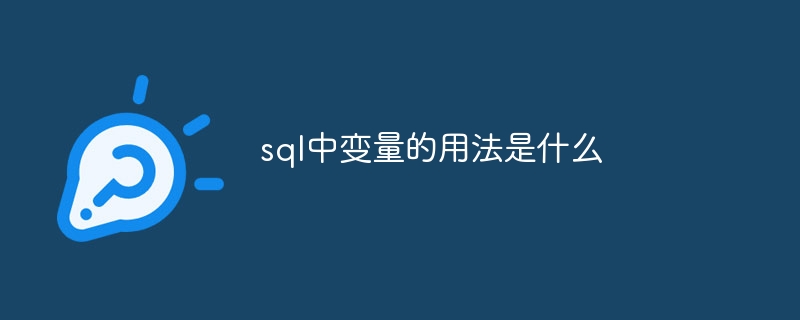 sql中变量的用法是什么