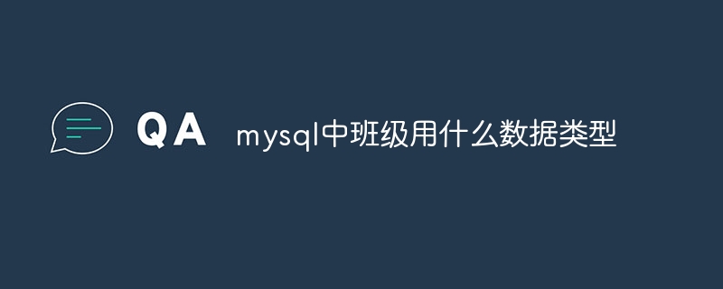 mysql中班级用什么数据类型