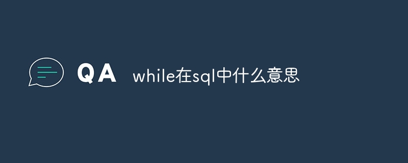 while在sql中什么意思