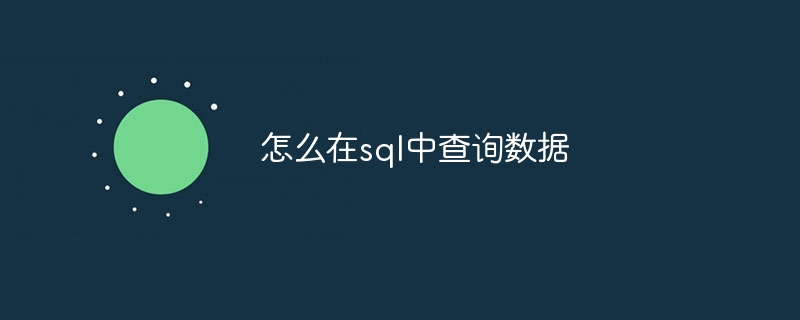 怎么在sql中查询数据