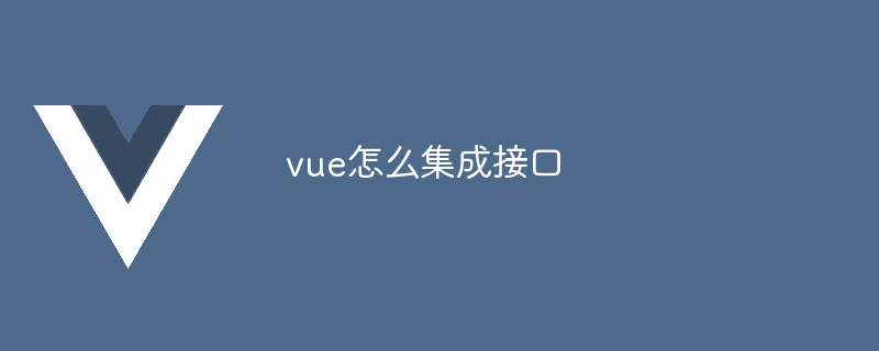 vue怎么集成接口