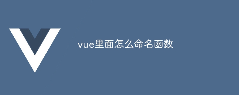 vue里面怎么命名函数