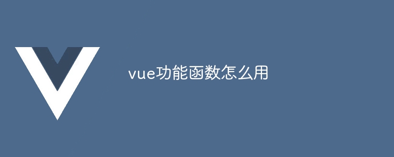 vue功能函数怎么用