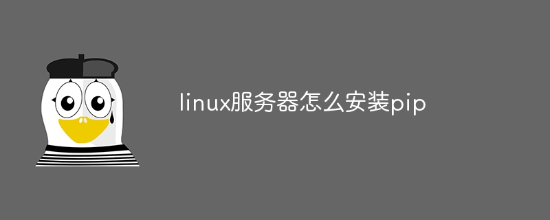 linux服务器怎么安装pip