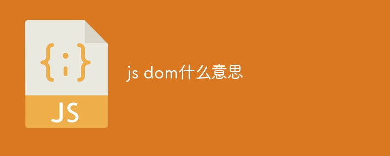 js dom什么意思