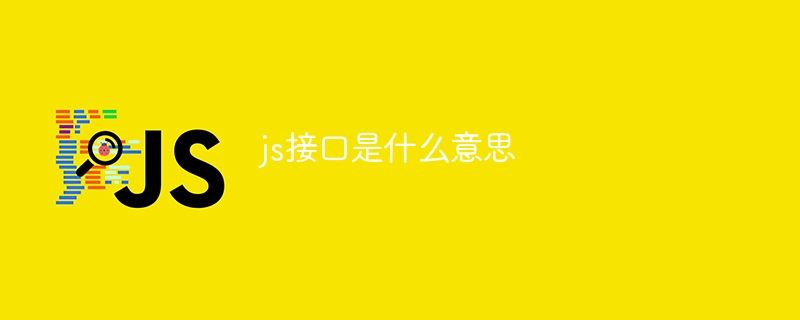 js接口是什么意思