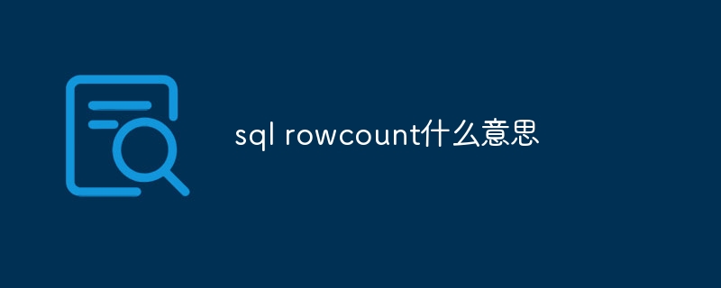 sql rowcount什么意思