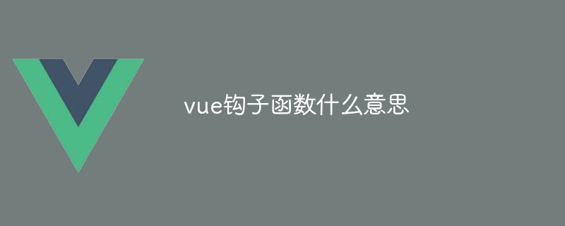 vue钩子函数什么意思