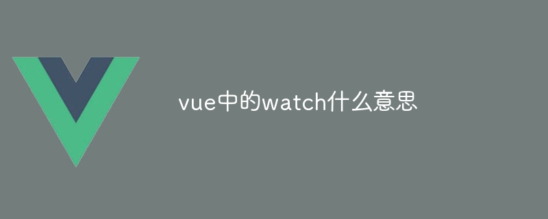 vue中的watch什么意思