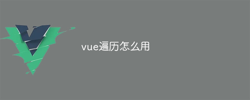 vue遍历怎么用