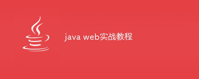 java web实战教程