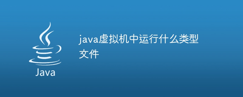 java虚拟机中运行什么类型文件