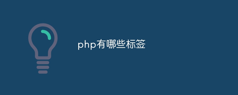 php有哪些标签