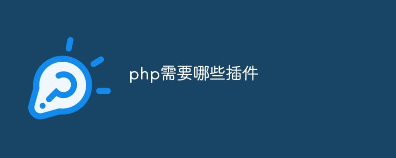 php需要哪些插件