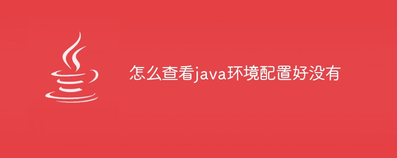 怎么查看java环境配置好没有