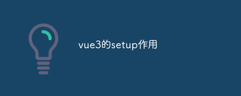 vue3的setup作用