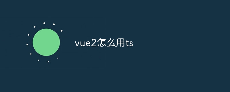 vue2怎么用ts