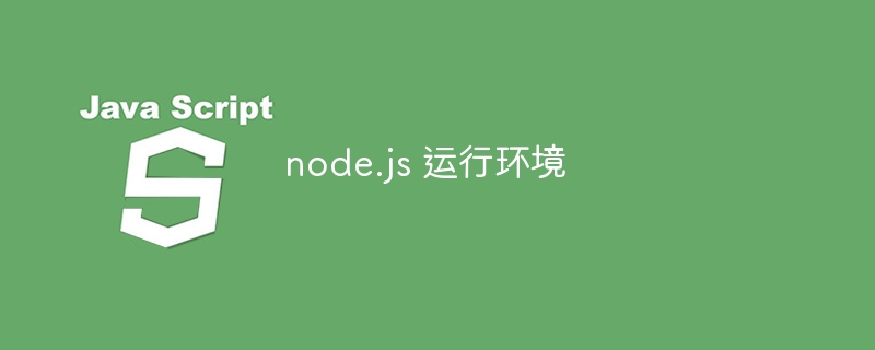 node.js 运行环境