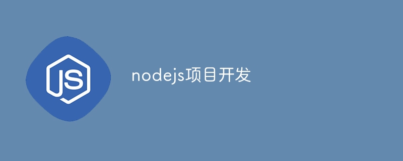 nodejs项目开发