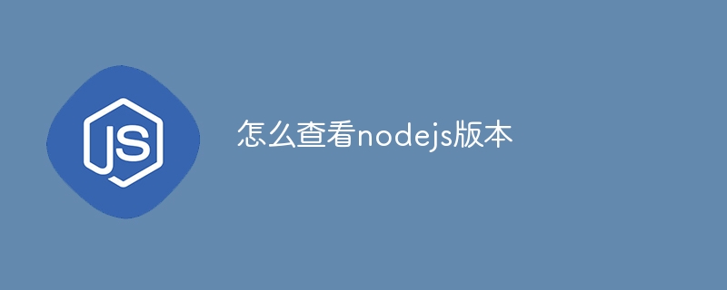 怎么查看nodejs版本