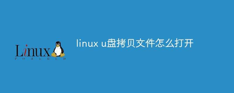 linux u盘拷贝文件怎么打开